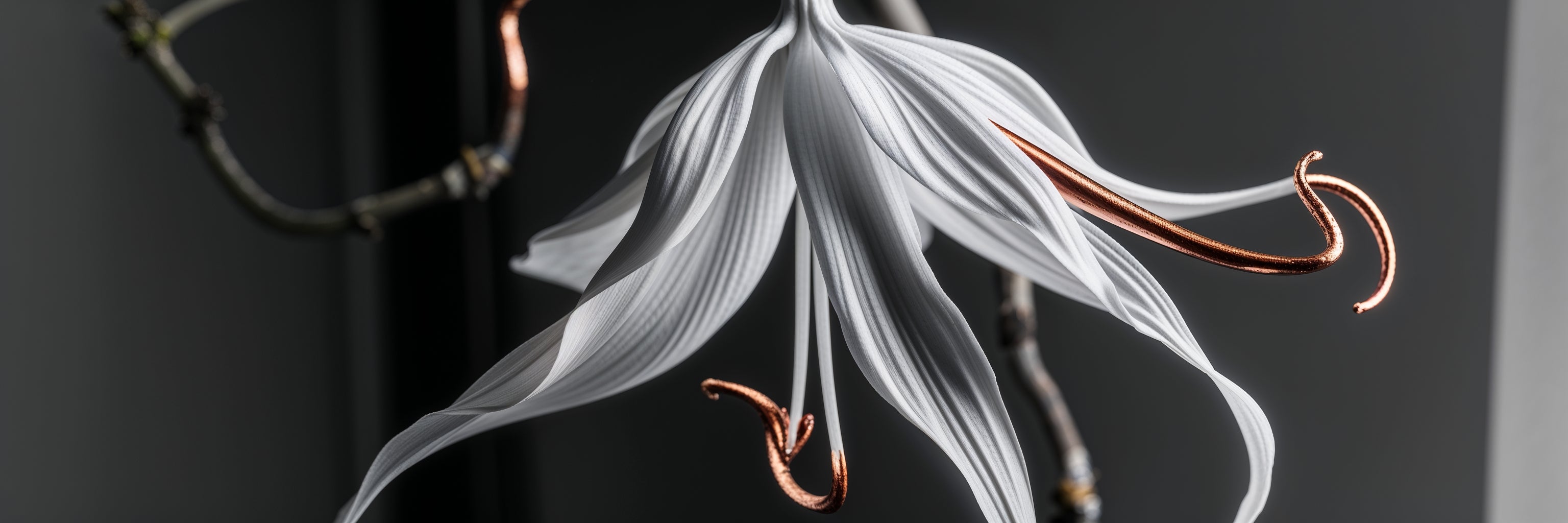 Je suis l’Ylang-Ylang