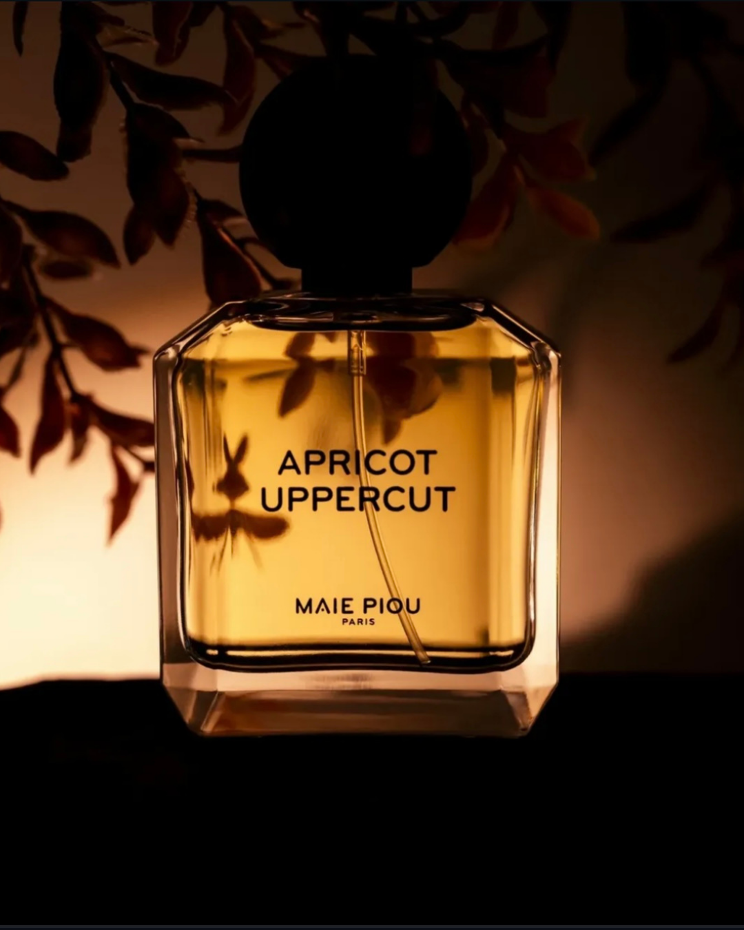 Eau de parfum Apricot Uppercut 50ml